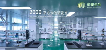 多美生物 技術賦能，實現“今日下單，明日出貨”的極致效率